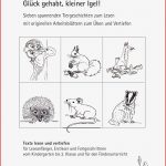 Ebookpdf Kleinerigel Webvorschau by Lehrmittel 4bis8 issuu