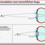 Einzigartig Das Menschliche Auge