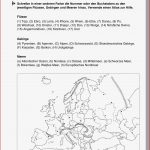 Erdkunde Geografie Inklusion · Arbeitsblätter