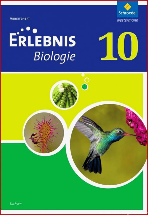 9 Wunderbar Schroedel Erlebnis Biologie Arbeitsblätter Für 2022 ...