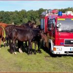 Feuer Experimente Grundschule Ff Bonn Rheindorf