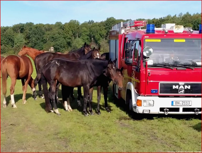 Feuer Experimente Grundschule Ff Bonn Rheindorf