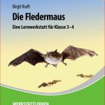 Fledermäuse Werden Oft Gefürchtet – Und Das Zu Unrecht