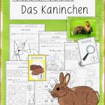 Forscherheft Stationenlernen Das Kaninchen Klasse 1 2