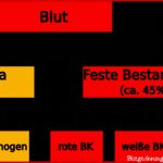 Freies Lehrbuch Der Biologie Für Schüler Und Studenten