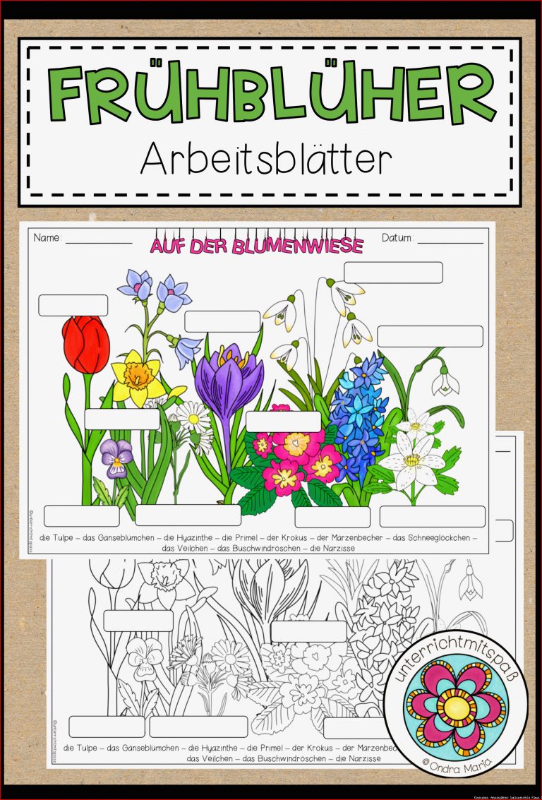 Frühblüher Arbeitsblätter – Unterrichtsmaterial in den