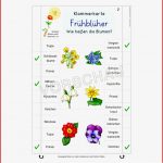 Frühblüher Werkstatt Für Grundschule