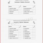 Frühblüher Werkstatt Für Grundschule