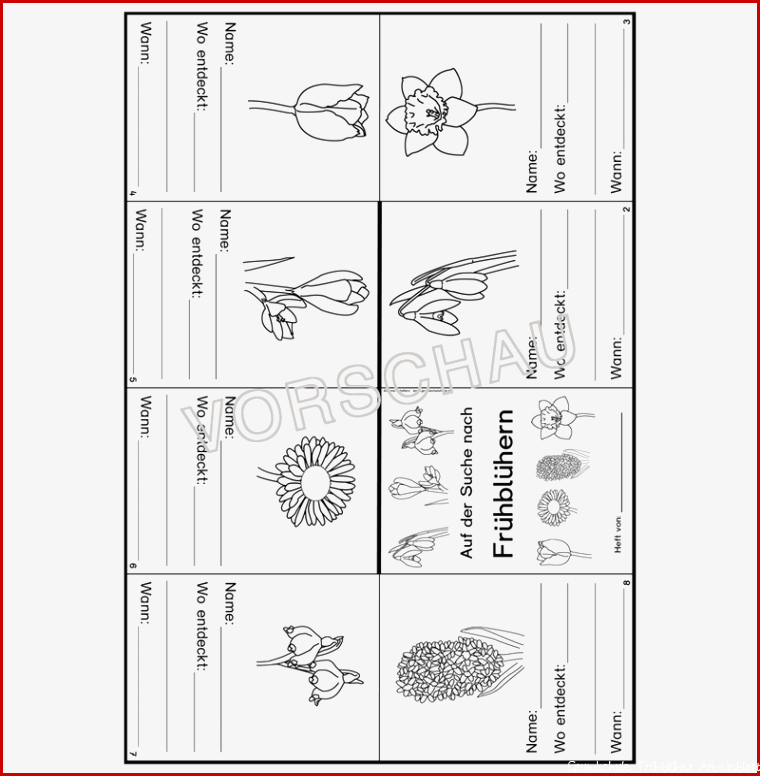 Frühblüher Werkstatt für Grundschule