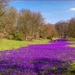 Frühling Lässt Sein Blaues Band Castrop Rauxel