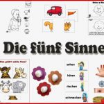 Fünf Sinne Kindergarten Aktivitäten Für Vorschulkinder