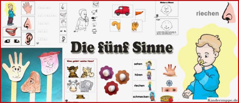 Fünf sinne kindergarten Aktivitäten für vorschulkinder