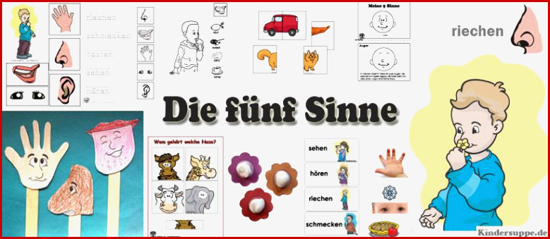 Fünf Sinne Kindergarten Aktivitäten Für Vorschulkinder