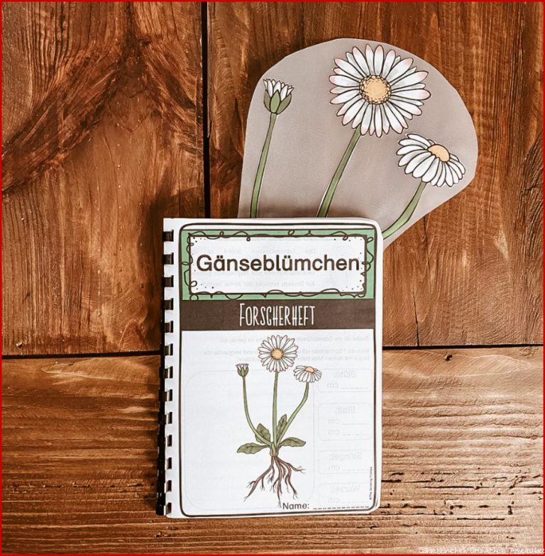 Gänseblümchen Forscherheft bzw Wissensheft