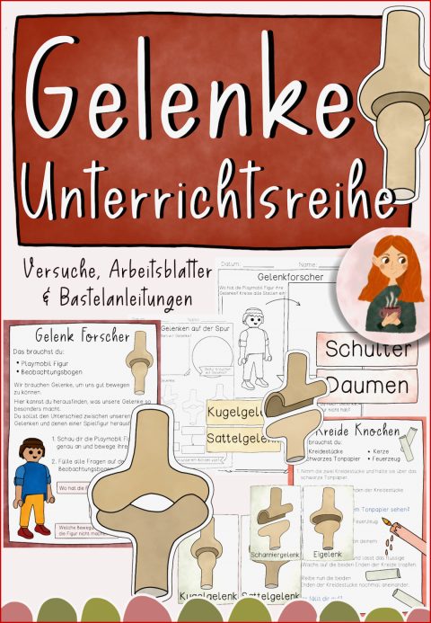 Großartig Gelenke Grundschule Arbeitsblatt Nur Für Sie | Kostenlose ...