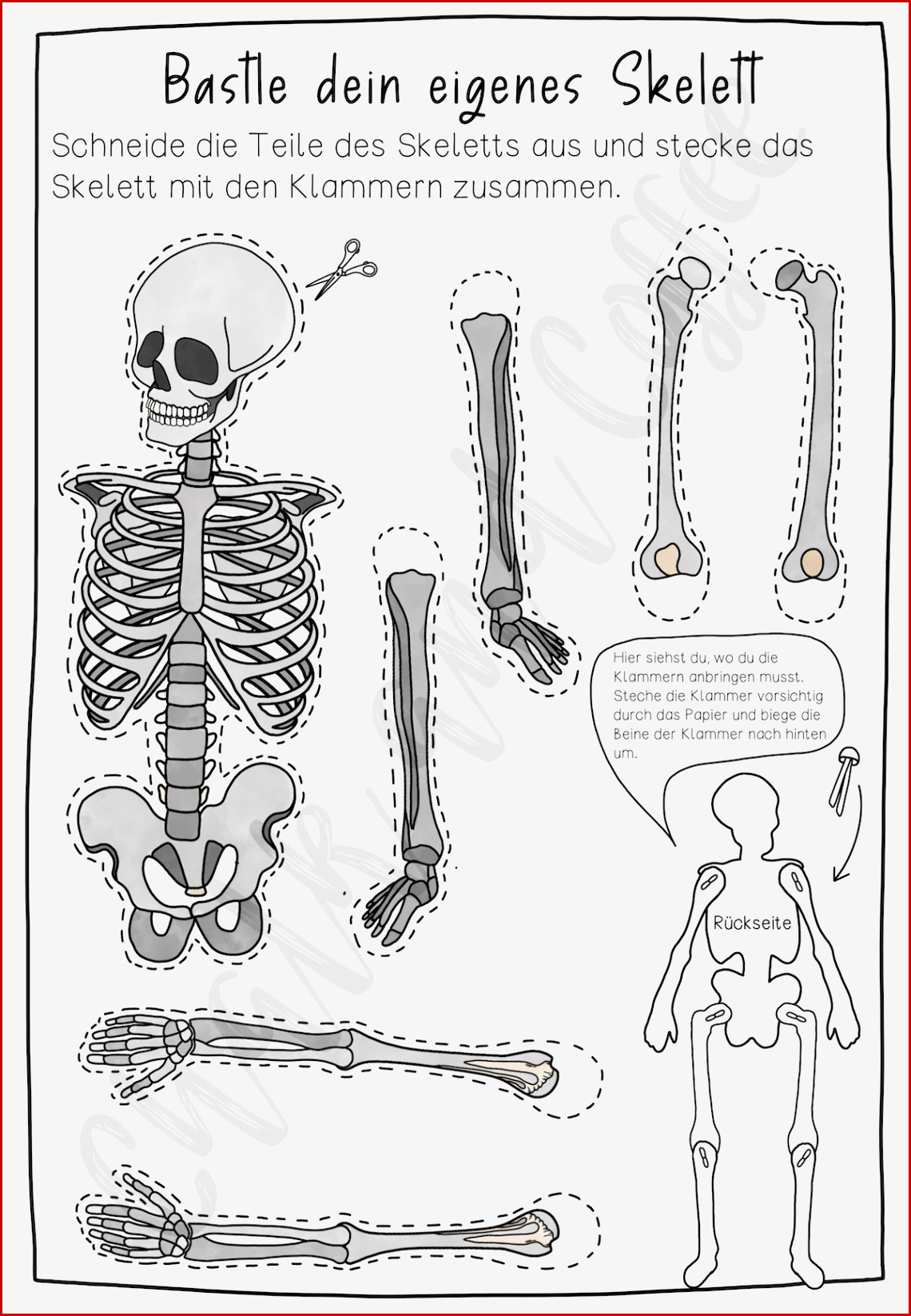 Gelenke Grundschule Arbeitsblätter Worksheets