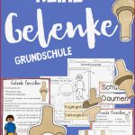 Gelenke Unterrichtsreihe Tafelmaterial Arbeitsblätter