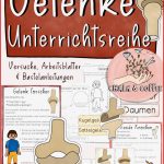 Gelenke Unterrichtsreihe Tafelmaterial Arbeitsblätter