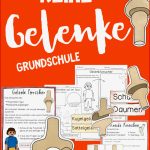 Gelenke Unterrichtsreihe Tafelmaterial Arbeitsblätter