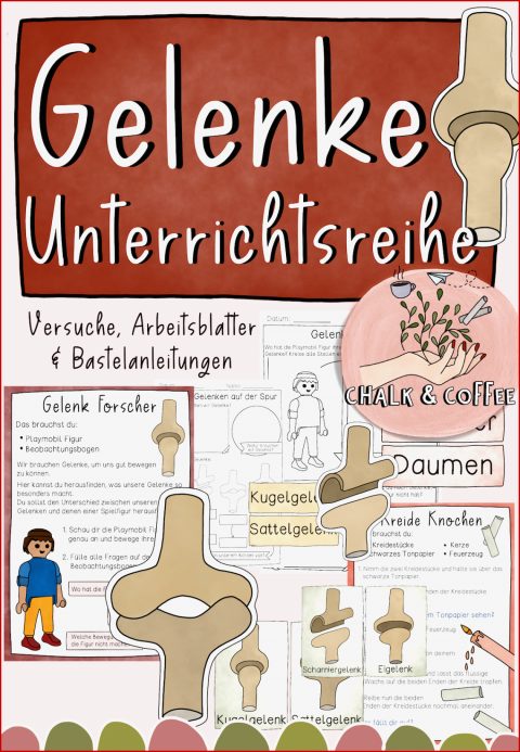 Arbeitsblatt Gelenke Grundschule: 3 Empfehlungen Nur Für Sie ...