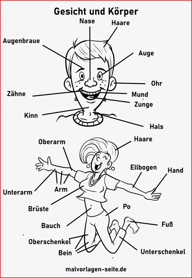 Gesicht und Körper Arbeitsblatt Grundschule Kostenlose