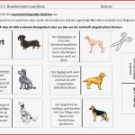 Grundschule Arbeitsblatter Hund Kostenlose Übungen