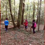 Grundschule Unterrichtsgang In Den Wald Dritte Klassen