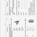Grundschule Unterrichtsmaterial Deutsch Rechtschreibung