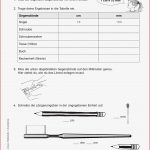 Grundschule Unterrichtsmaterial Mathematik Inklusion Größen