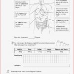 Grundschule Unterrichtsmaterial Mathematik Sachrechnen