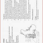 Grundschule Unterrichtsmaterial Sachunterricht Experimente