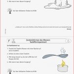 Grundschule Unterrichtsmaterial Sachunterricht Experimente