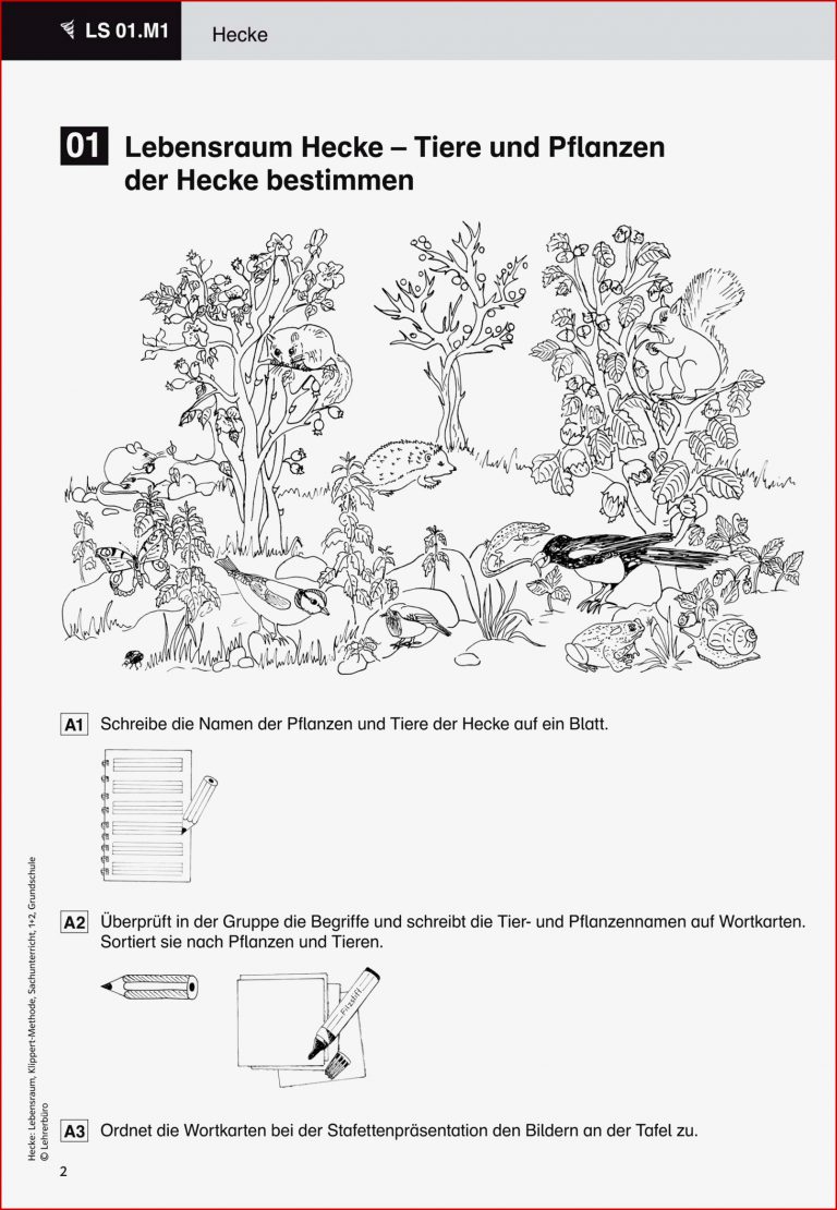 Grundschule Unterrichtsmaterial Sachunterricht Natur Und