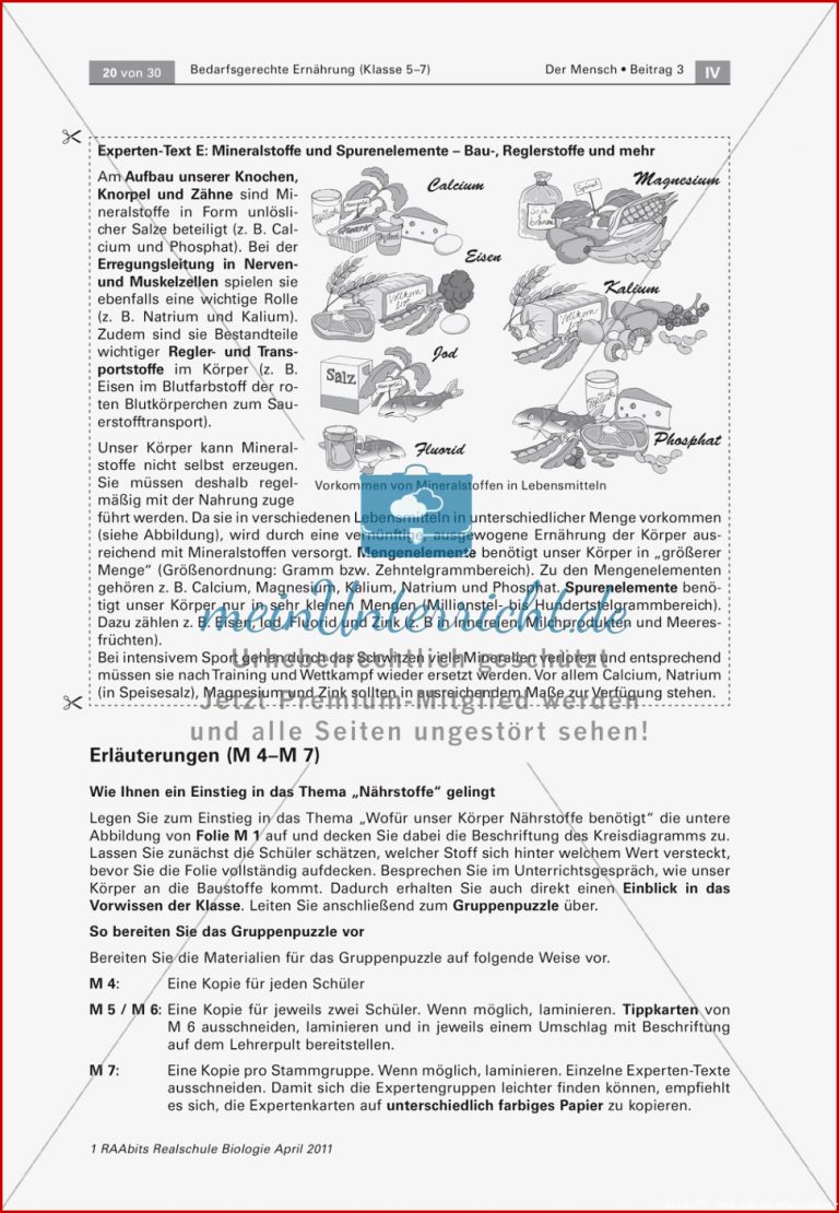 Gruppenpuzzle Wofür Braucht Der Körper Nährstoffe