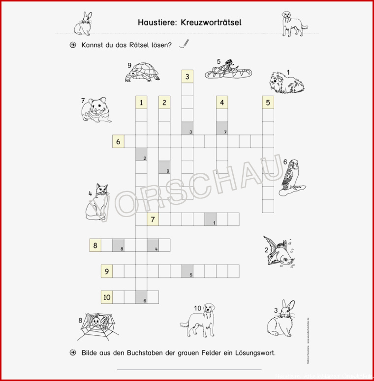 Haustiere Werkstatt für Grundschule