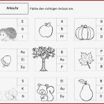 Herbstliches Freiarbeitsbündel Zu Den anderen Jahreszeiten