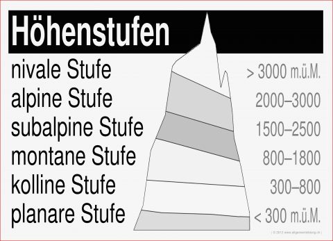 Höhenstufen Der Alpen