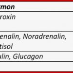 Hormone – Kommunikation Mit Botenstoffen