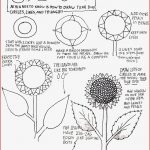 How to Draw Worksheets for the Young Artist How to Draw A