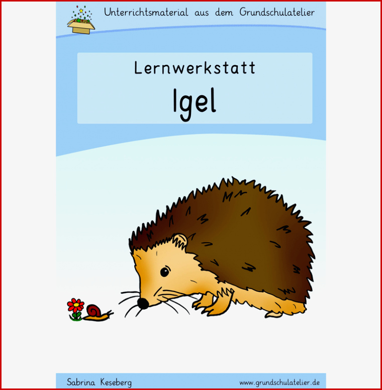 Igel Werkstatt Für Grundschule