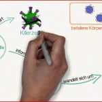 Immunsystem Schematische Darstellung