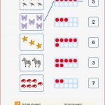 Inklusionskiste Mathematische Grundfertigkeiten Im