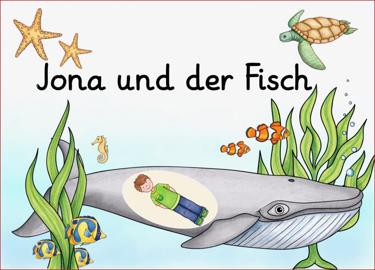 Jona und der Fisch Kombipaket