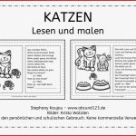 Katzen Lesen Und Malen Abcund123