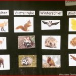 Kleine Unterrichtseinheit Zum thema "tiere Im Winter