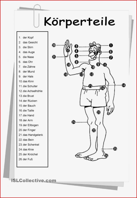 Körperteile