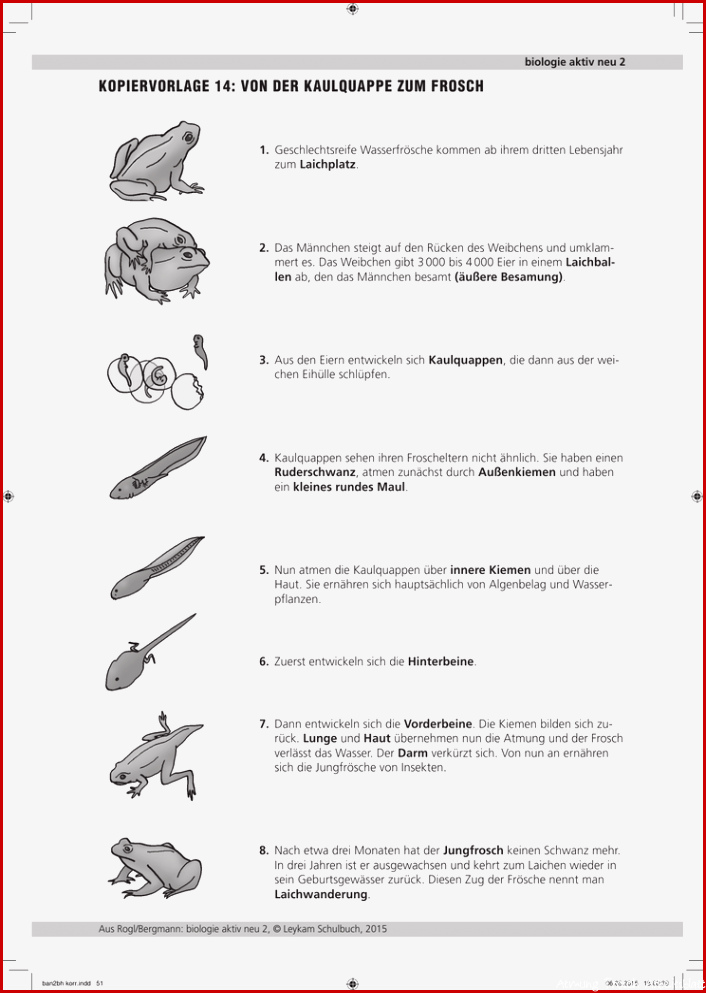 KopIERVoRLAgE 14 VoN dER kAuLQuAppE Zum fRoSCH