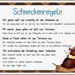 Krabbelwiese Schneckerei In Der Schule