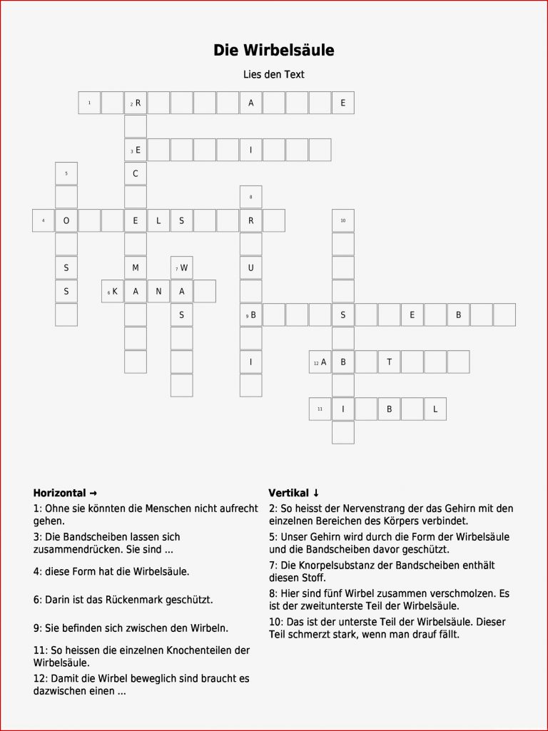 Kreuzworträtsel "die Wirbelsäule" Als Pdf