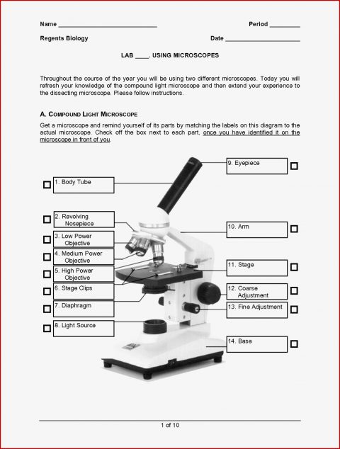 Labeling Parts A Microscope Worksheet Parts Of A